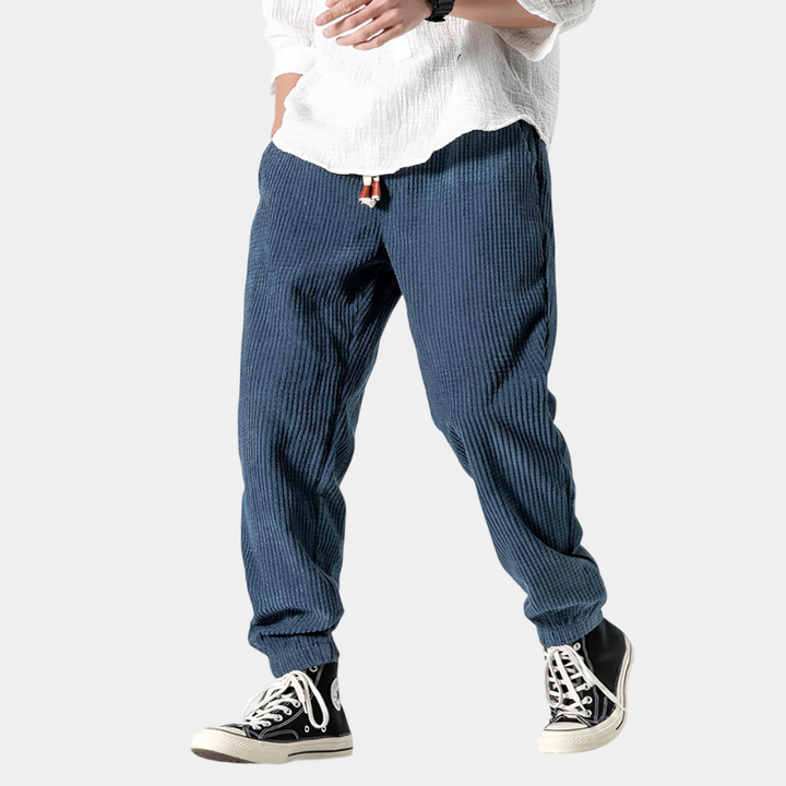 Ramiro | Pantaloni in velluto moderni